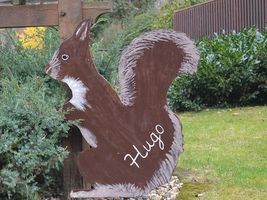 Hans-Hermann-Kunstaktion: das Eichhörnchen als Hugo