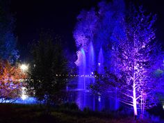 Stimmungsvoll beleuchteter Kurpark zur Kurparknacht Bad Bevensen