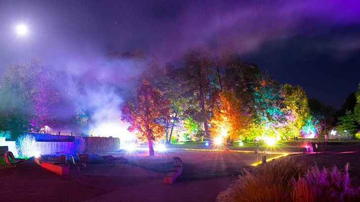 Beleuchtete Bäume zu den Wandel-Nächten im Kurpark Bad Bevensen